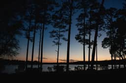 Waterfront Compound for 23 + Pets | Private Boat Dock, Multiple Living Areas | Free Tickets for Mini Golf, Helicopter Tours, Zoo Visits, + Cruises! - Image 5