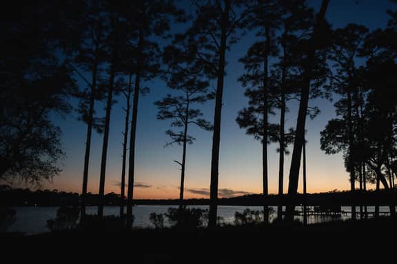 Waterfront Compound for 23 + Pets | Private Boat Dock, Multiple Living Areas | Free Tickets for Mini Golf, Helicopter Tours, Zoo Visits, + Cruises! - Image 5