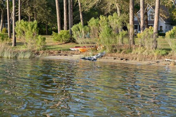 Waterfront Compound for 23 + Pets | Private Boat Dock, Multiple Living Areas | Free Tickets for Mini Golf, Helicopter Tours, Zoo Visits, + Cruises! - Image 3